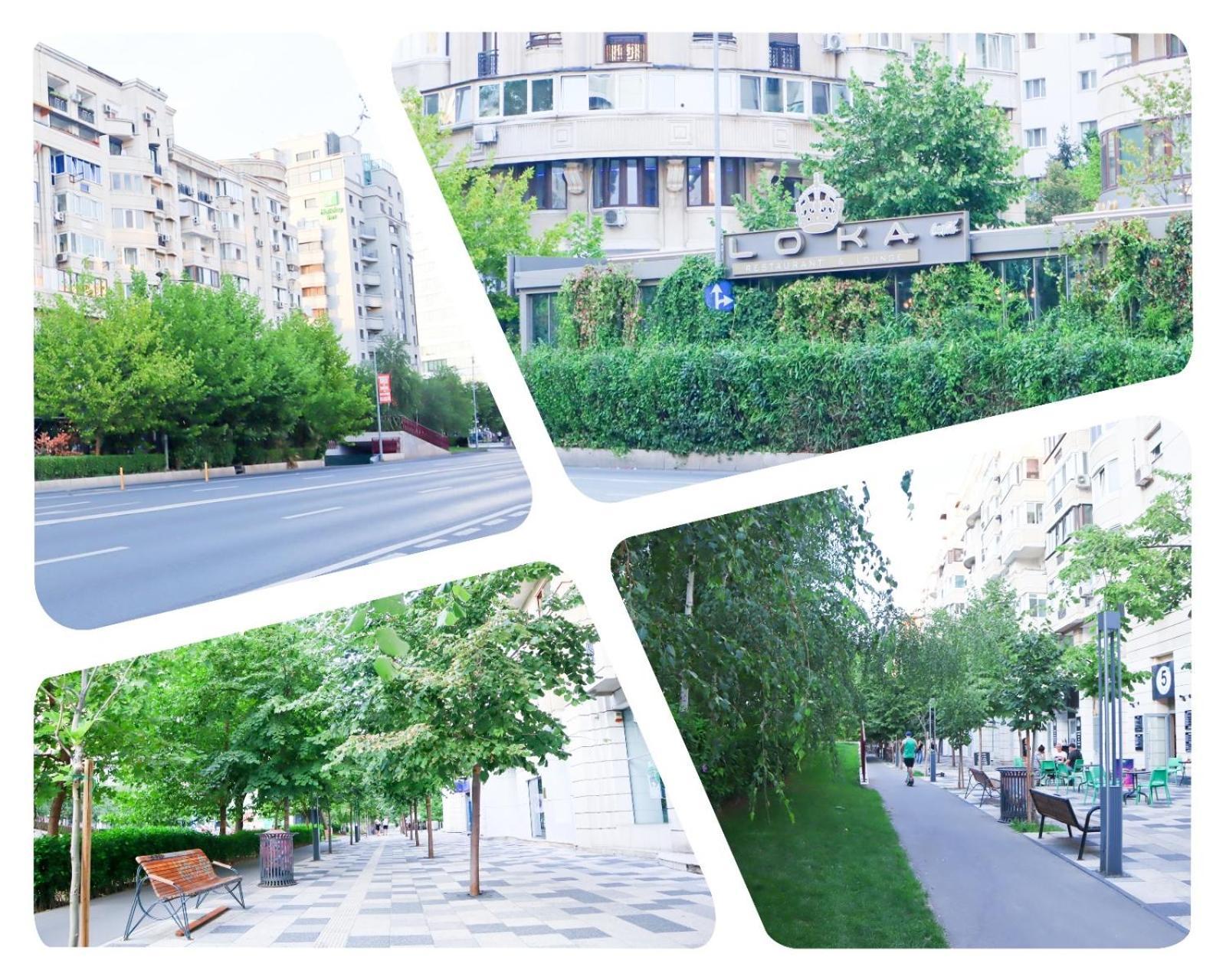 Central Apartament Bulevardul Decebal Bükreş Dış mekan fotoğraf